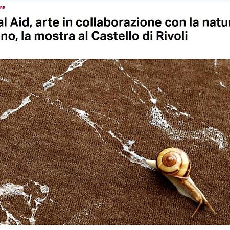 La Casa Di Silvio Ai Giardini Reali Apartment Turin Bagian luar foto